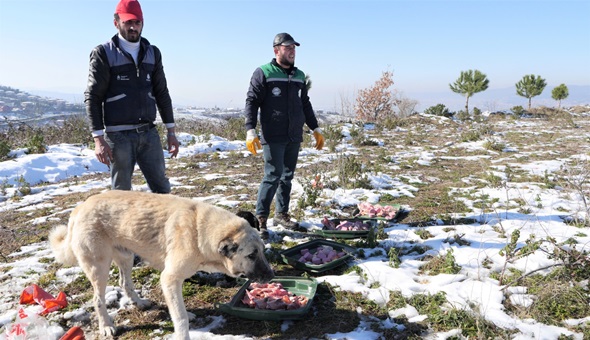 Başiskele Belediyesi’nden duyarlı davranış