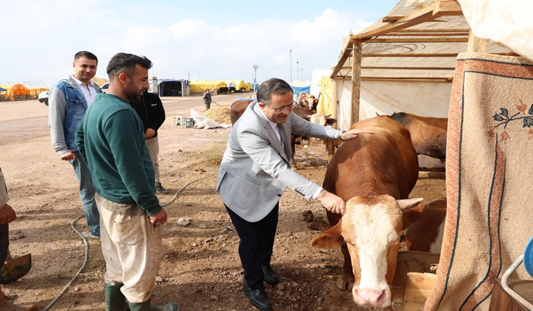 Başkan Gökçe, Kurban Pazarı’nı ziyaret etti