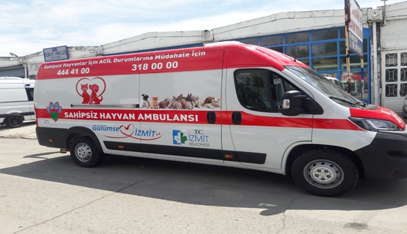 Başkan Hürriyet’ten sokaktaki dostlarımıza hayvan ambulansı