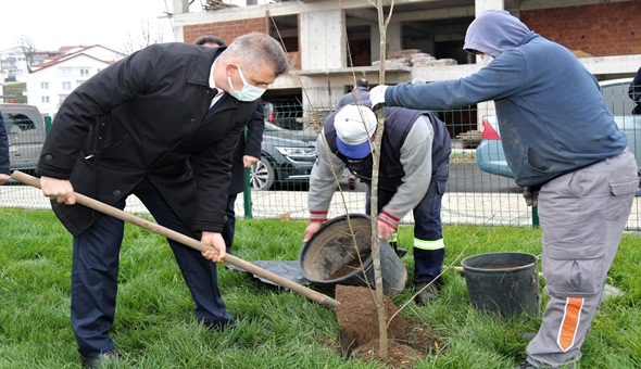 Başkan Sezer: 8000'den fazla fidanı toprakla buluşurduk 