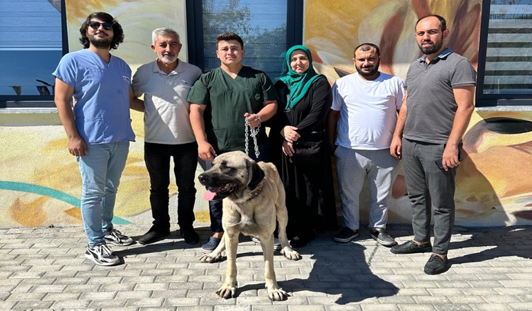 Çayırova’da 10 ayda 170 sokak hayvanına yuva bulundu