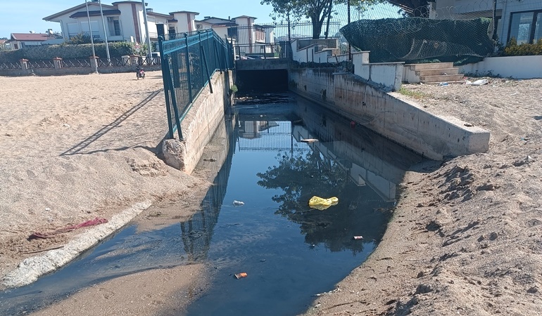 Darıca Bayramoğlu halk plajı hastalık saçıyor