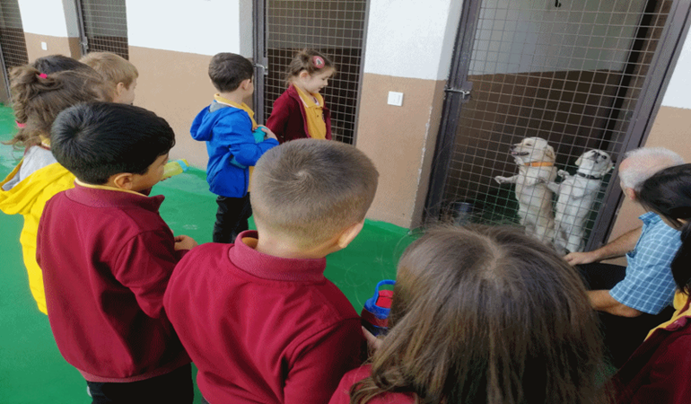 Derince Belediyesi çocuklara hayvanları sevdiriyor