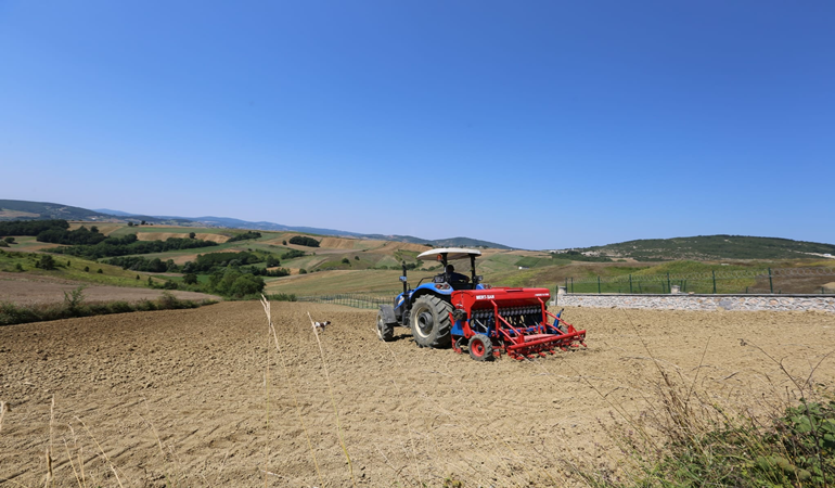 Derince’de glutensiz karabuğday ekimi yapıldı