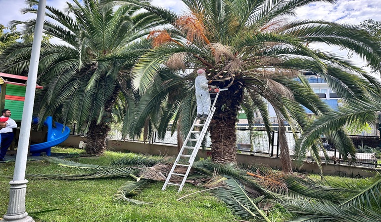 Dilovası’nda parklar yenileniyor