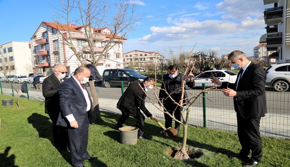 Gölcük’te elma ağaçları toprakla buluşturuldu