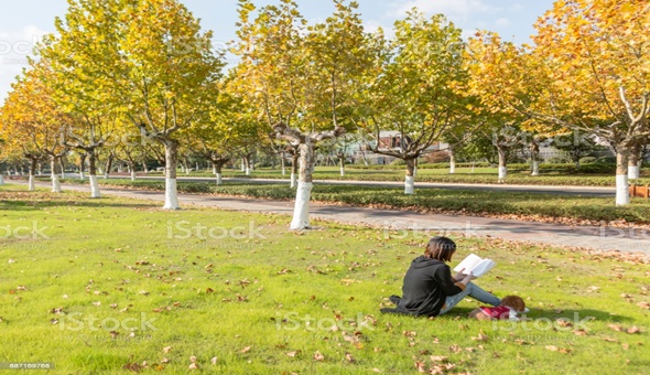 Hava sıcaklıkları şaşırtacak