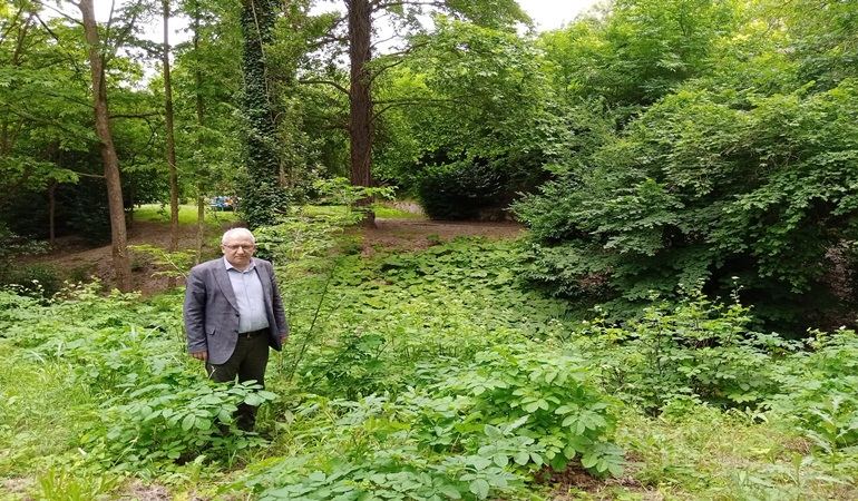 Hocaoğlu: Sokak hayvanları, temizlik ve ot biçimi İzmit Belediyesi'nin asli görevidir