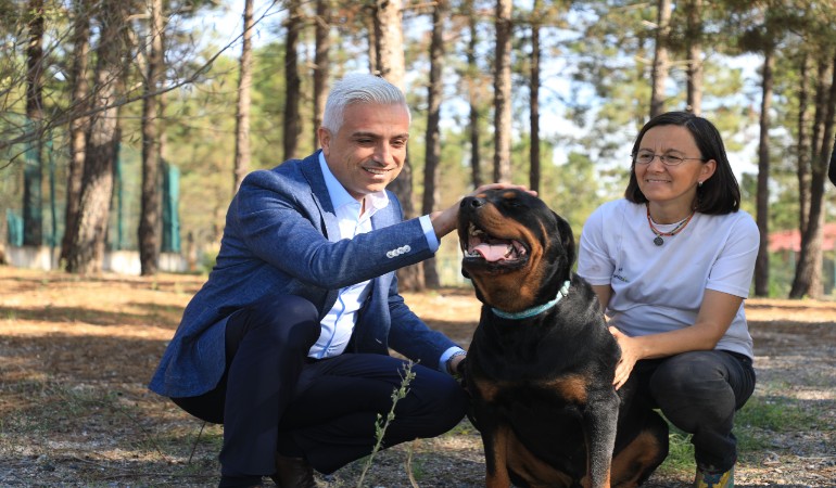 İETT, sokak hayvanları için yaşam alanları oluşturuyor