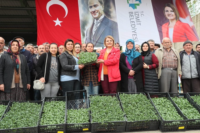 İzmit Belediyesi, 52 köyde çiftçilere sebze fidesi dağıtacak