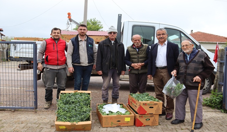 İzmit Belediyesi, köylerde fide dağıtımına başladı