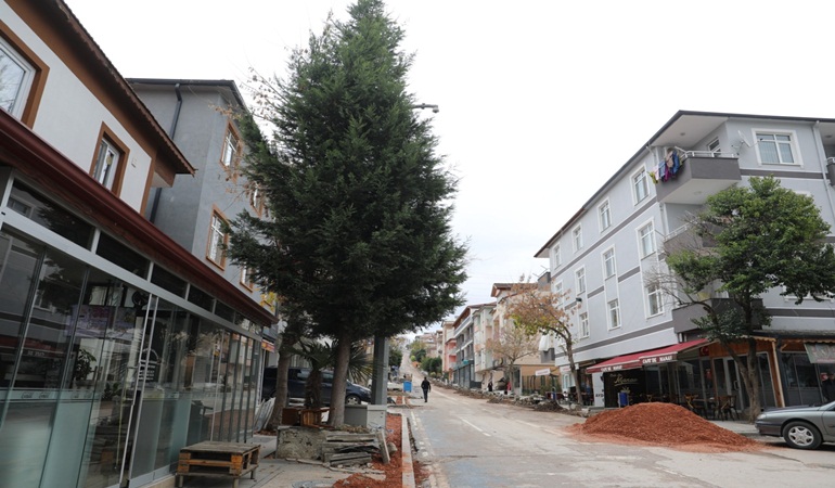 İzmit Belediyesi sökülen ağacı tekrar toprakla buluşturacak 