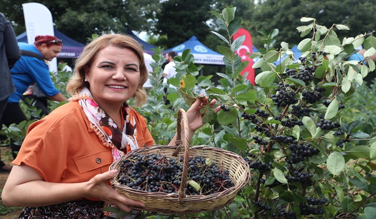 İzmit Belediyesinin aronya fidanı desteği için başvurular başladı