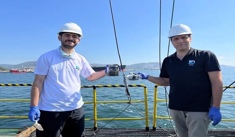 İzmit Körfezi’nde deniz suyu kalitesi artıyor