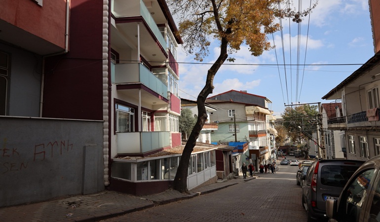 İzmit’te tehlike arz eden ağaçlar için önlem alınacak