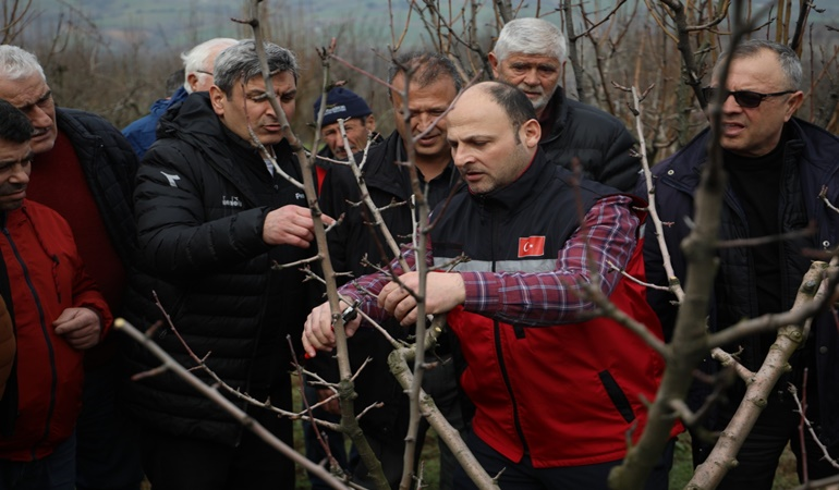 İzmitli üreticilere meyve ağacı budama ve aşılama eğitimi 