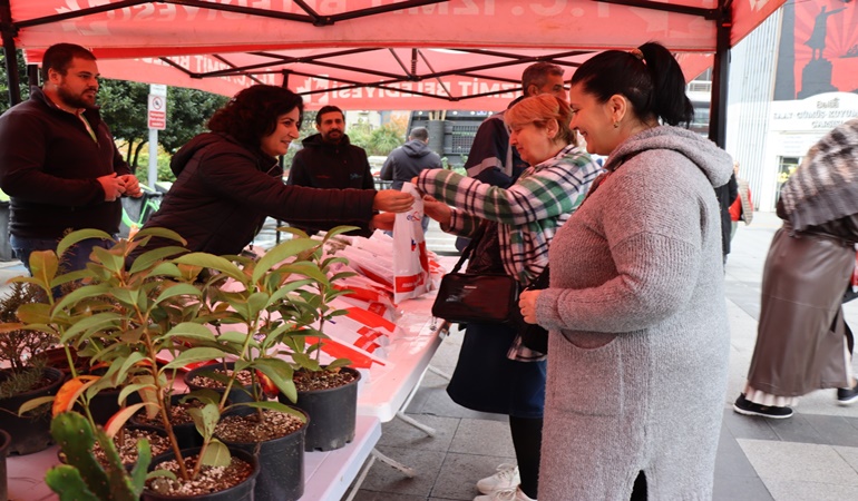 İzmitlilere istiridye mantarı ve fıstık çamı dağıtıldı