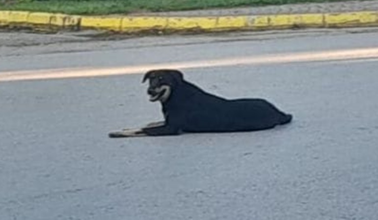 Kartepe Belediyesi ciddiyetsiz çalışıyor!