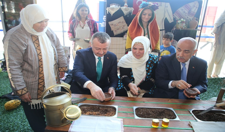 Kocaeli’nde üretilen biberiye ayçiçek yağında kullanılacak