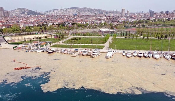 Marmara'daki deniz salyası ABD'de gündem oldu