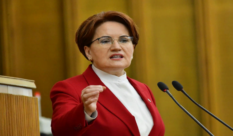 Meral Akşener tepkileri gördü, teşkilatlara seslendi