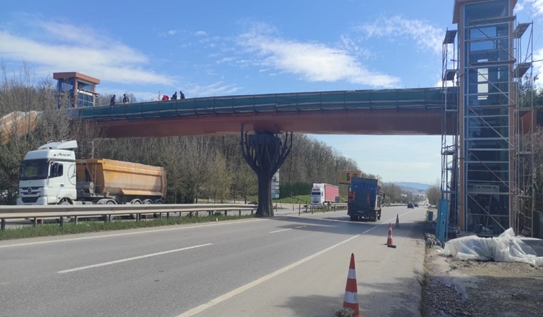 Ormanya yaya üstgeçidinde sona doğru