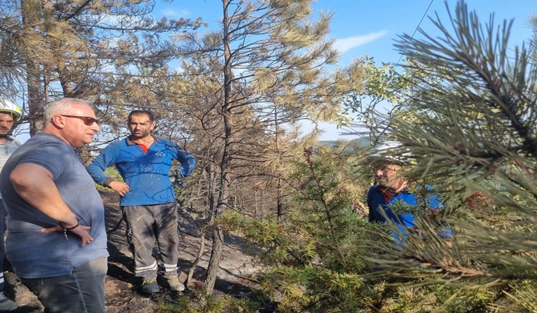 SEDAŞ, Bolu’da orman yangınına karşı seferber oldu