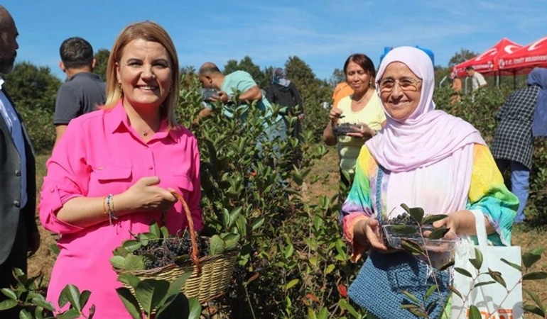 Süper meyve aronyanın hasadı İzmitlilerin katılımıyla yapılacak