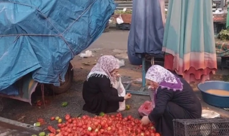 Vatandaş çöpe ayrılan sebzeleri toplar hale geldi